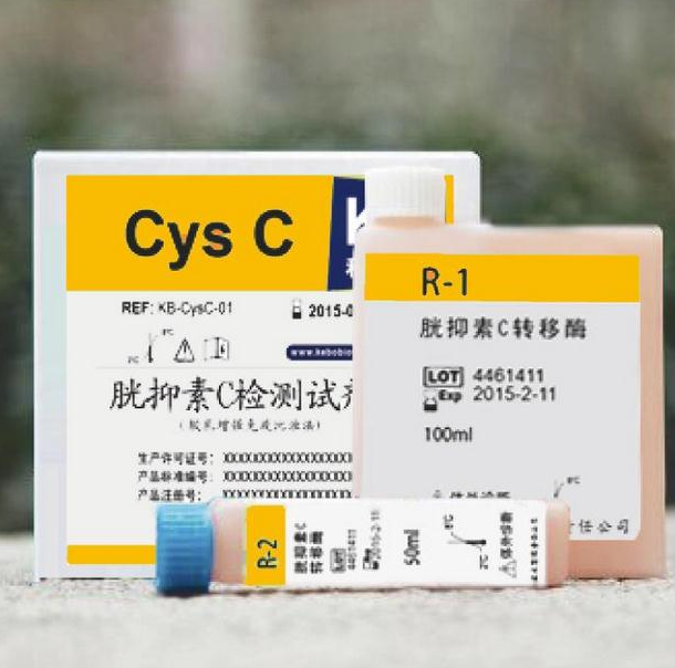 胱抑素C( CysC ) 臨床應用